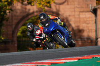 anglesey;brands-hatch;cadwell-park;croft;donington-park;enduro-digital-images;event-digital-images;eventdigitalimages;mallory;no-limits;oulton-park;peter-wileman-photography;racing-digital-images;silverstone;snetterton;trackday-digital-images;trackday-photos;vmcc-banbury-run;welsh-2-day-enduro
